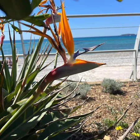 Sur La Des Lecques Au Bord De L'eau Appartement *